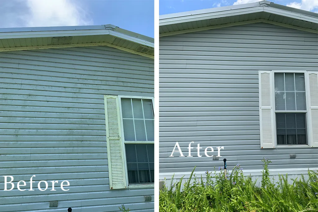 Before and after professional house washing using a soft wash system