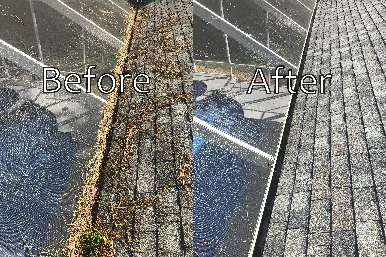 Gutter cleaning and pool screen cleaning before and after